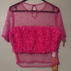 SHEIN Hot Pink Sheer Mesh Crop Top with Textured Panel